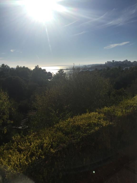 Encosta Da Praia Luxury Suites Carvoeiro  Dış mekan fotoğraf